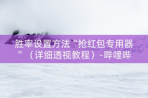 胜率设置方法“抢红包专用器”（详细透视教程）-哔哩哔哩