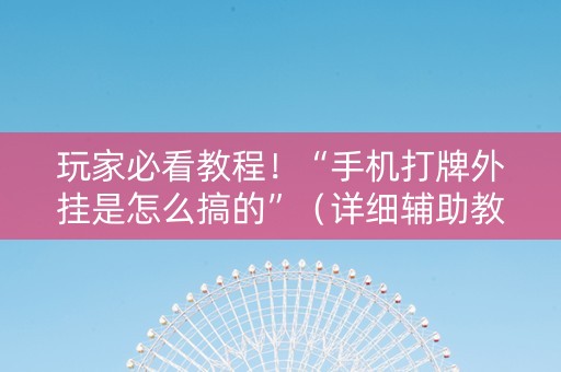 玩家必看教程！“手机打牌外挂是怎么搞的”（详细辅助教程）-哔哩哔哩