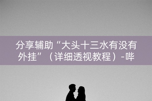 分享辅助“大头十三水有没有外挂”（详细透视教程）-哔哩哔哩