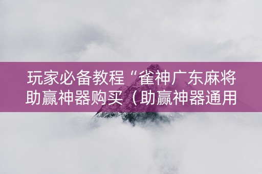 玩家必备教程“雀神广东麻将助赢神器购买（助赢神器通用版）