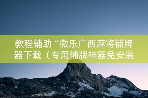 教程辅助“微乐广西麻将铺牌器下载（专用辅牌神器免安装）