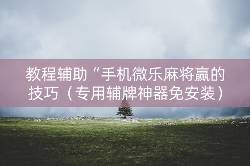 教程辅助“手机微乐麻将赢的技巧（专用辅牌神器免安装）