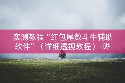 实测教程“红包尾数斗牛辅助软件”（详细透视教程）-哔哩哔哩