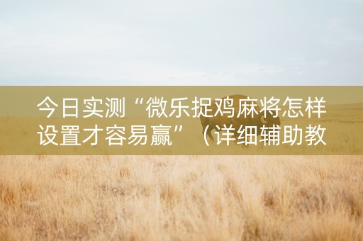 今日实测“微乐捉鸡麻将怎样设置才容易赢”（详细辅助教程）-哔哩哔哩