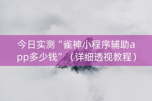 今日实测“雀神小程序辅助app多少钱”（详细透视教程）-哔哩哔哩