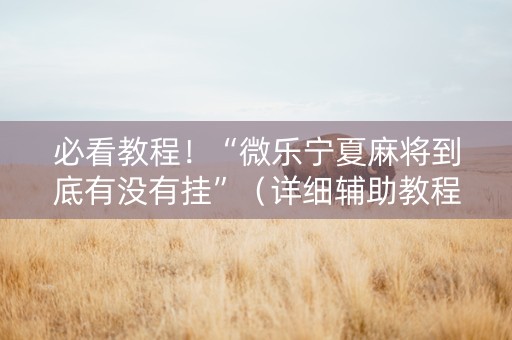 必看教程！“微乐宁夏麻将到底有没有挂”（详细辅助教程）-哔哩哔哩