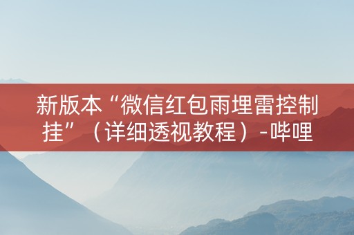 新版本“微信红包雨埋雷控制挂”（详细透视教程）-哔哩哔哩