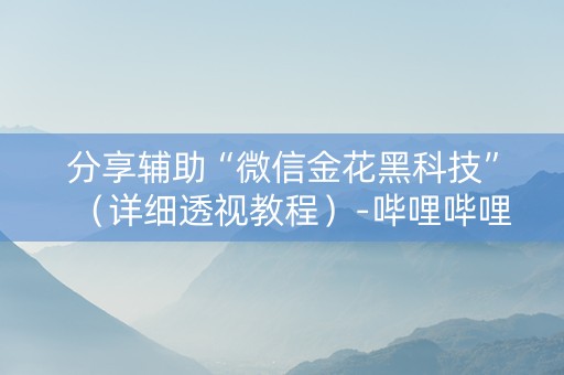 分享辅助“微信金花黑科技”（详细透视教程）-哔哩哔哩