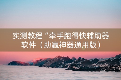 实测教程“牵手跑得快辅助器软件（助赢神器通用版）