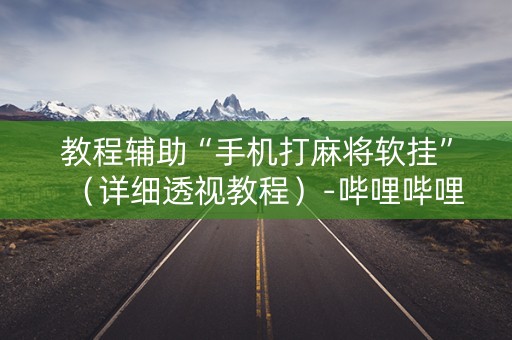 教程辅助“手机打麻将软挂”（详细透视教程）-哔哩哔哩