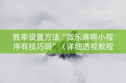 胜率设置方法“微乐麻将小程序有技巧吗”（详细透视教程）-哔哩哔哩