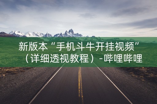 新版本“手机斗牛开挂视频”（详细透视教程）-哔哩哔哩