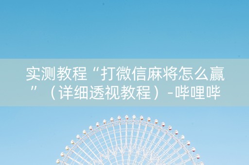 实测教程“打微信麻将怎么赢”（详细透视教程）-哔哩哔哩