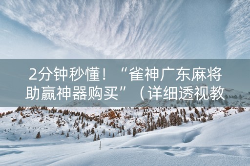 2分钟秒懂！“雀神广东麻将助赢神器购买”（详细透视教程）-哔哩哔哩