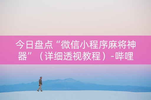 今日盘点“微信小程序麻将神器”（详细透视教程）-哔哩哔哩
