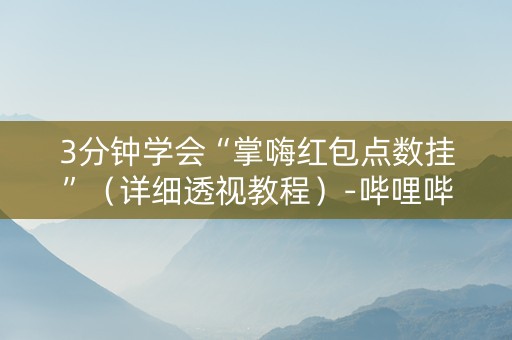 3分钟学会“掌嗨红包点数挂”（详细透视教程）-哔哩哔哩