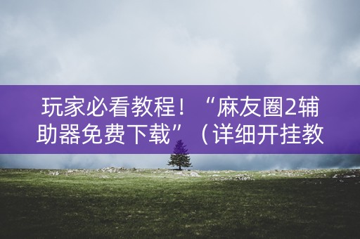 玩家必看教程！“麻友圈2辅助器免费下载”（详细开挂教程）-哔哩哔哩