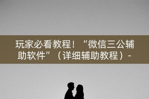 玩家必看教程！“微信三公辅助软件”（详细辅助教程）-哔哩哔哩