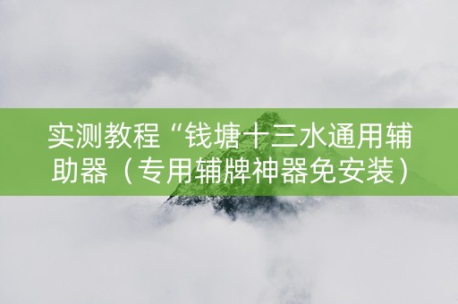 实测教程“钱塘十三水通用辅助器（专用辅牌神器免安装）