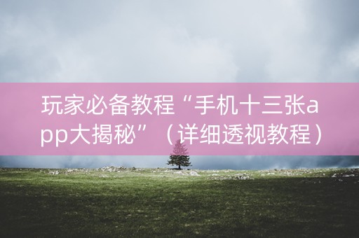 玩家必备教程“手机十三张app大揭秘”（详细透视教程）-哔哩哔哩