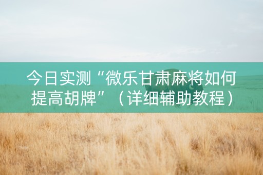 今日实测“微乐甘肃麻将如何提高胡牌”（详细辅助教程）-哔哩哔哩