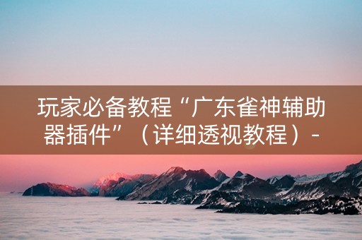 玩家必备教程“广东雀神辅助器插件”（详细透视教程）-哔哩哔哩