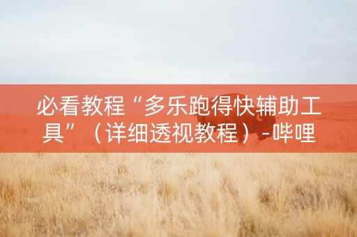 必看教程“多乐跑得快辅助工具”（详细透视教程）-哔哩哔哩