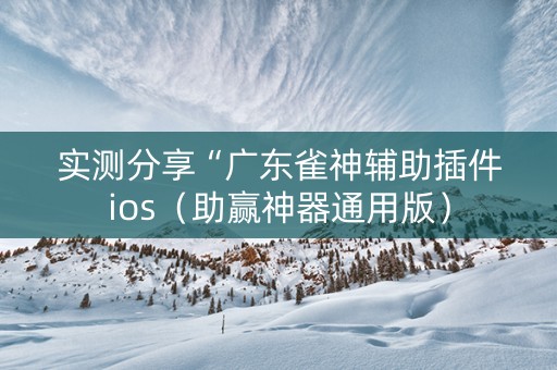 实测分享“广东雀神辅助插件ios（助赢神器通用版）