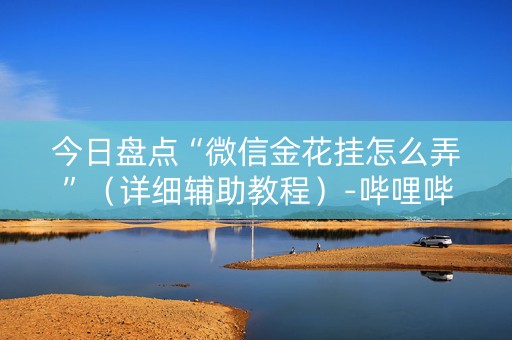 今日盘点“微信金花挂怎么弄”（详细辅助教程）-哔哩哔哩