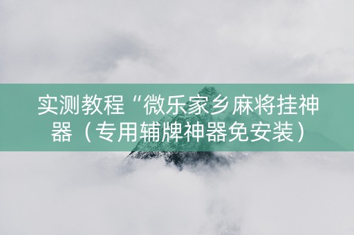 实测教程“微乐家乡麻将挂神器（专用辅牌神器免安装）