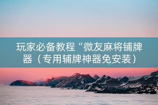 玩家必备教程“微友麻将铺牌器（专用辅牌神器免安装）