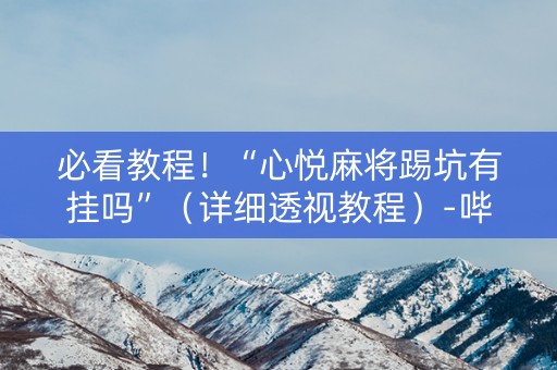 必看教程！“心悦麻将踢坑有挂吗”（详细透视教程）-哔哩哔哩