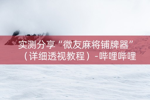 实测分享“微友麻将铺牌器”（详细透视教程）-哔哩哔哩