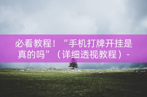 必看教程！“手机打牌开挂是真的吗”（详细透视教程）-哔哩哔哩