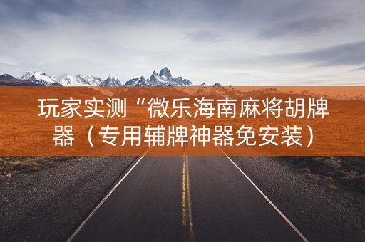 玩家实测“微乐海南麻将胡牌器（专用辅牌神器免安装）