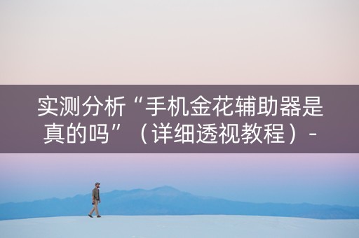 实测分析“手机金花辅助器是真的吗”（详细透视教程）-哔哩哔哩