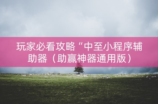 玩家必看攻略“中至小程序辅助器（助赢神器通用版）
