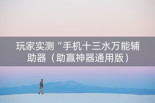 玩家实测“手机十三水万能辅助器（助赢神器通用版）