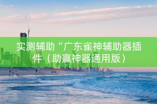 实测辅助“广东雀神辅助器插件（助赢神器通用版）