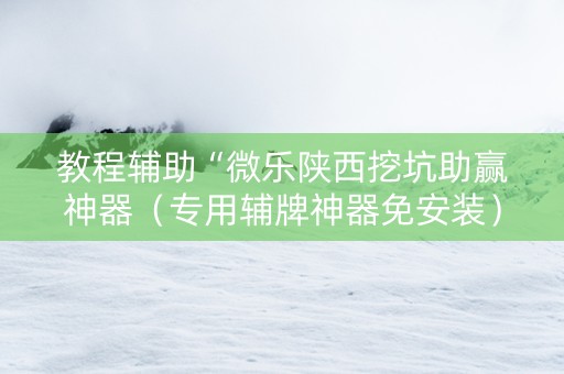 教程辅助“微乐陕西挖坑助赢神器（专用辅牌神器免安装）