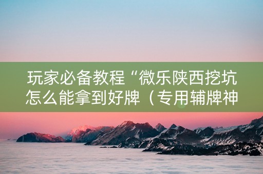 玩家必备教程“微乐陕西挖坑怎么能拿到好牌（专用辅牌神器免安装）