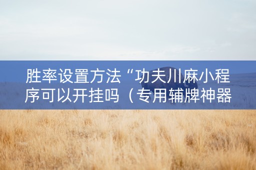胜率设置方法“功夫川麻小程序可以开挂吗（专用辅牌神器免安装）