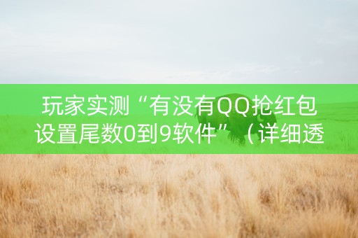 玩家实测“有没有QQ抢红包设置尾数0到9软件”（详细透视教程）-哔哩哔哩