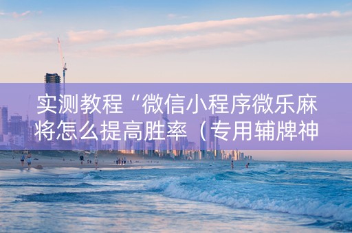 实测教程“微信小程序微乐麻将怎么提高胜率（专用辅牌神器免安装）