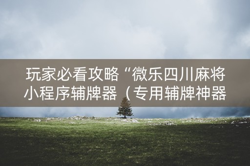 玩家必看攻略“微乐四川麻将小程序辅牌器（专用辅牌神器免安装）
