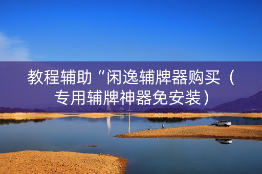 教程辅助“闲逸辅牌器购买（专用辅牌神器免安装）