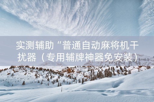 实测辅助“普通自动麻将机干扰器（专用辅牌神器免安装）