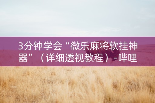 3分钟学会“微乐麻将软挂神器”（详细透视教程）-哔哩哔哩