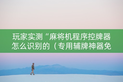 玩家实测“麻将机程序控牌器怎么识别的（专用辅牌神器免安装）