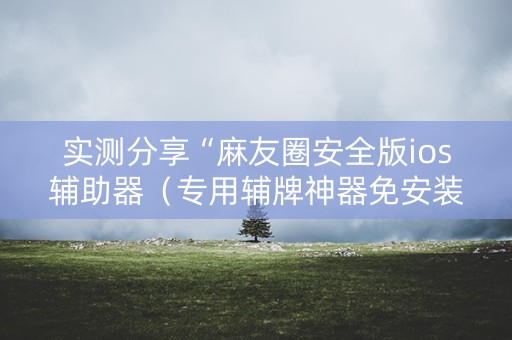 实测分享“麻友圈安全版ios辅助器（专用辅牌神器免安装）